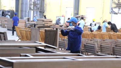 'Path of life' for Vietnam's wood industry: Proactive about the raw wood source from planted forests